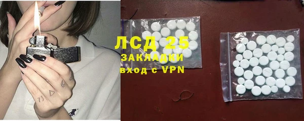 гашик Алексин