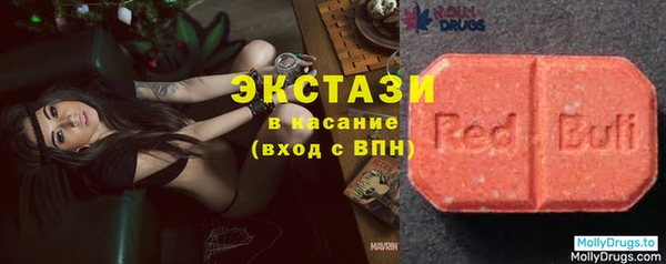 гашик Алексин
